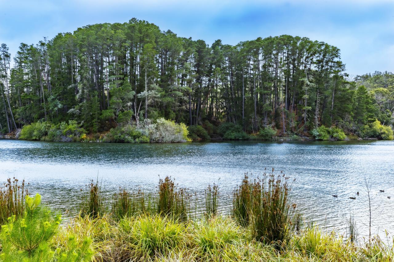 The Sebel Creswick Forest Resort Eksteriør bilde